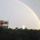 2013_harvard-arco-iris